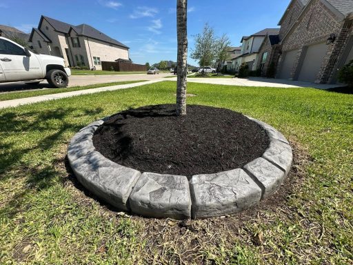 Marble Tree Ring